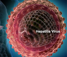 Hepatitis, una infección contagiosa